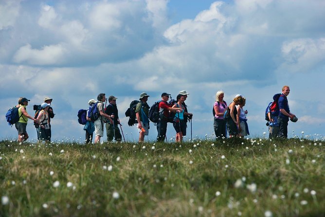 1/2 Day Pilgrim's Walk on St Patrick's Way and Lunch - Starting at the Saint Patrick Centre in Downpatrick