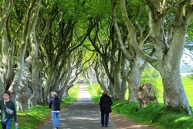 4 Hours Private Belfast City Tours - Stormont and Northern Ireland’s political present