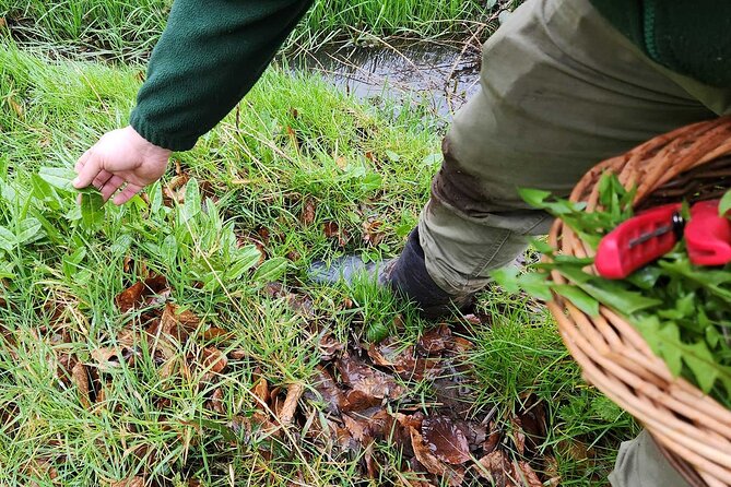 Adult Foraging Walk & Bushcraft Cookery Course for Beginners - Learning to make and use the campfire