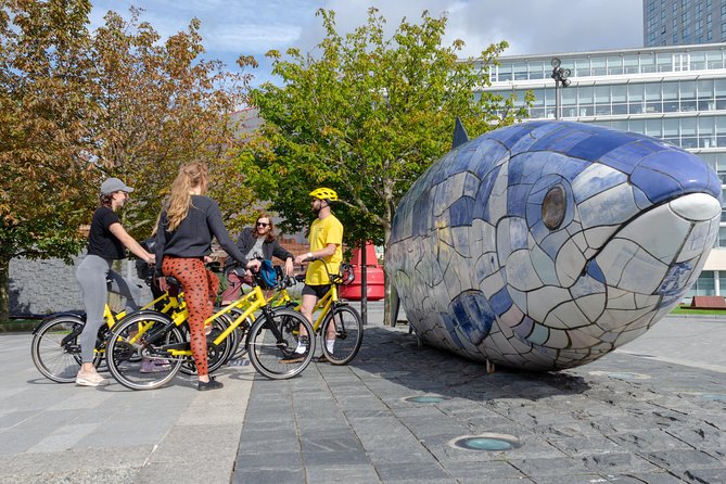 Belfast Bike Tours - Price, weather, and who gets the best value