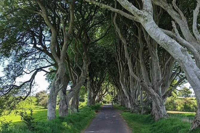 Belfast & Giants Causeway Luxury Mercedes Private Tour for 6 pax - Key points at a glance
