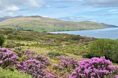 Belfast & Giants Causeway Luxury Mercedes Private Tour for 6 pax