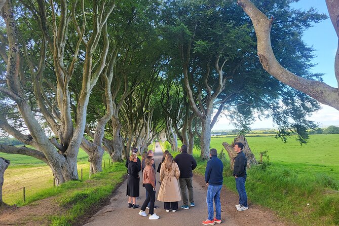 Belfast & Giants Causeway Luxury Mercedes Private Tour for 6 pax - The driver can shape the experience