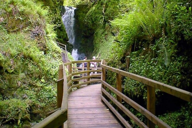 Experience the Antrim Coast and the Land of Giants - Private Tour - Carrick-a-Rede rewards steady legs and a clear head