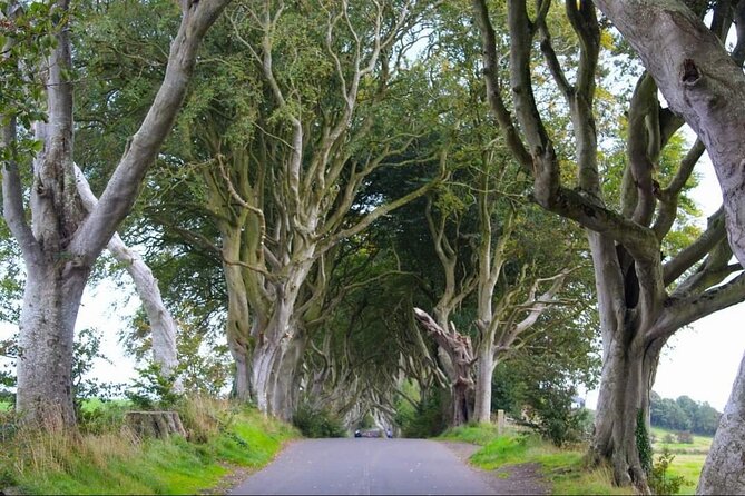 Experience the Antrim Coast and the Land of Giants - Private Tour - The Dark Hedges and Ballintoy Harbour add the local flavor