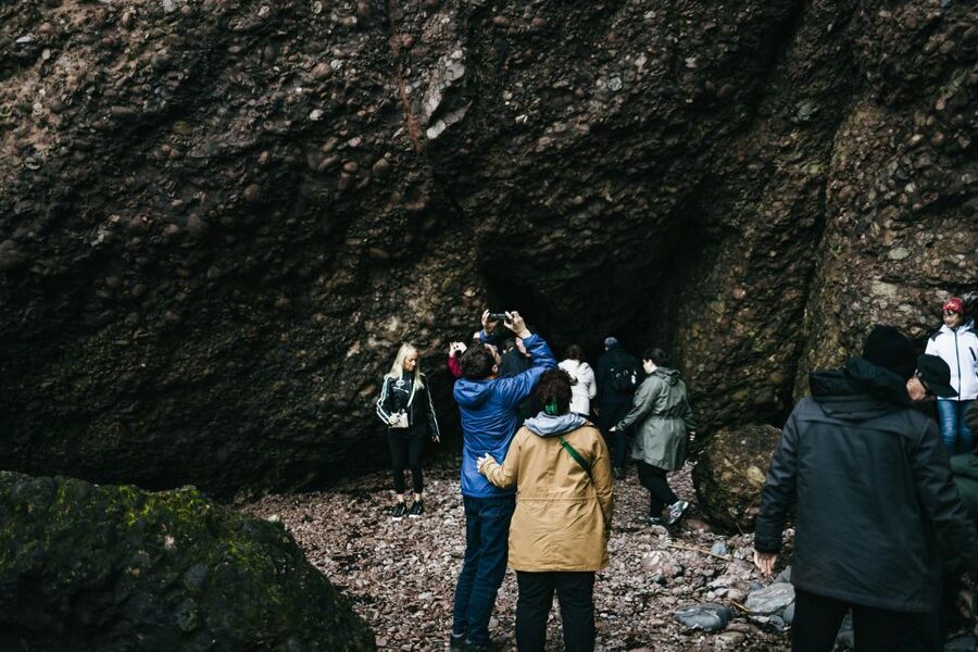 From Belfast: Giant's Causeway Full-Day Guided Trip - The Dark Hedges as the final photo stop