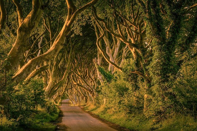 From Belfast-Giants Causeway, Dunluce Castle and Dark Hedges tour - Walking out to the Giant’s Causeway