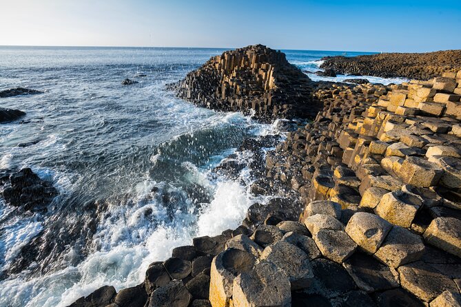 From Belfast-Giants Causeway, Dunluce Castle and Dark Hedges tour - The Dark Hedges in 15 minutes