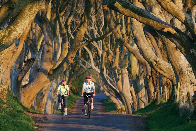From Belfast-Giants Causeway, Dunluce Castle and Dark Hedges tour - The guide can make or break the drive