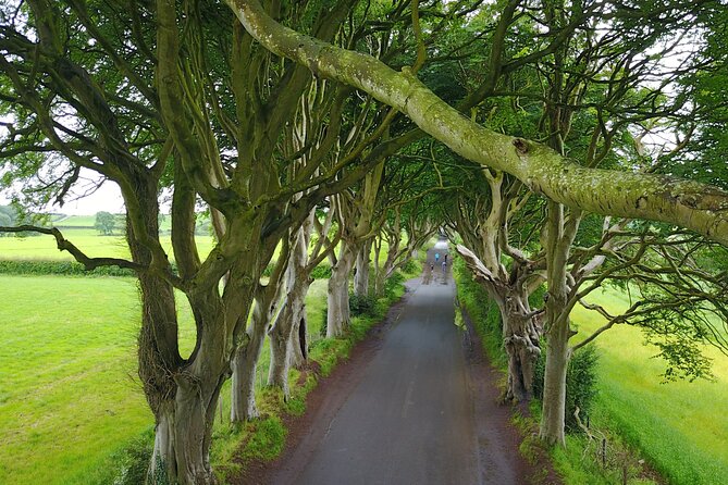 Full-Day Private Giant's Causeway Experience - Why a private vehicle changes the Belfast day