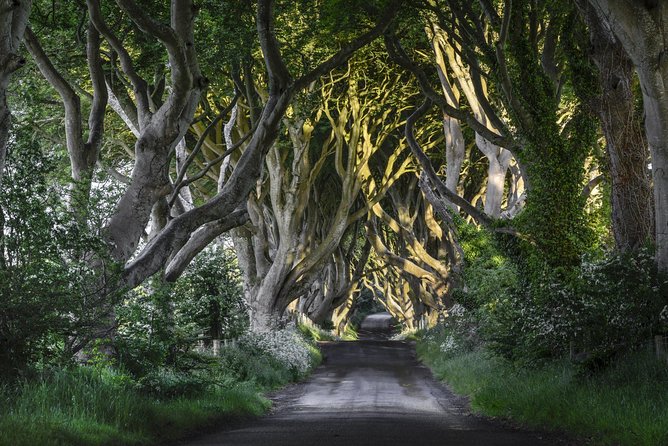 Game of Thrones and Giant's Causeway Full-Day Tour from Belfast - Portaneevy gives you the rope bridge view