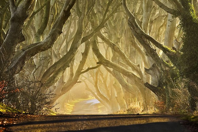 Game of Thrones - Private Audi A6 tour with Richard the Wildling - Cushendun Caves, one of the most dramatic locations