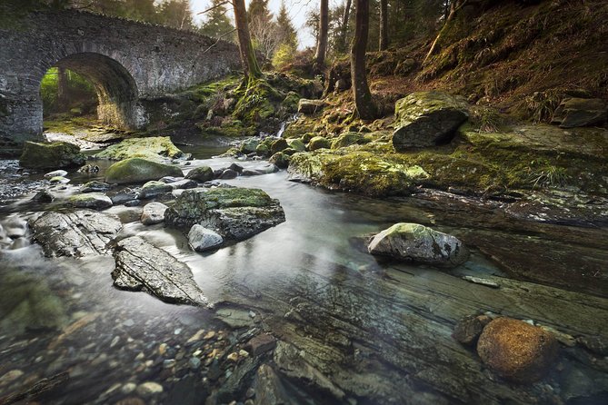 Game of Thrones - Tollymore Forest Trek - The bridge and the Stark direwolf scene
