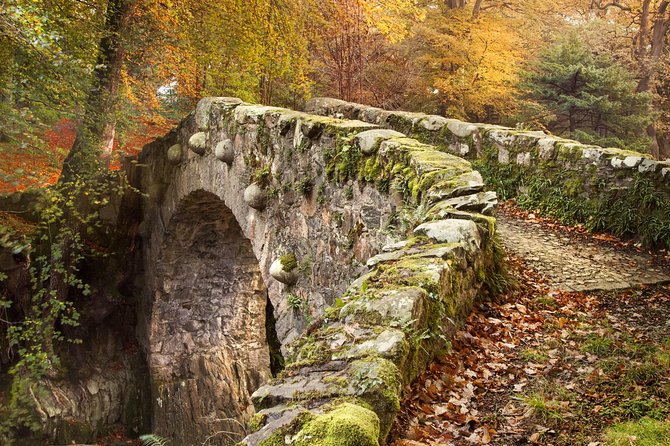 Game of Thrones - Tollymore Forest Trek - Cloaks, ponchos, and the Northern Ireland forecast