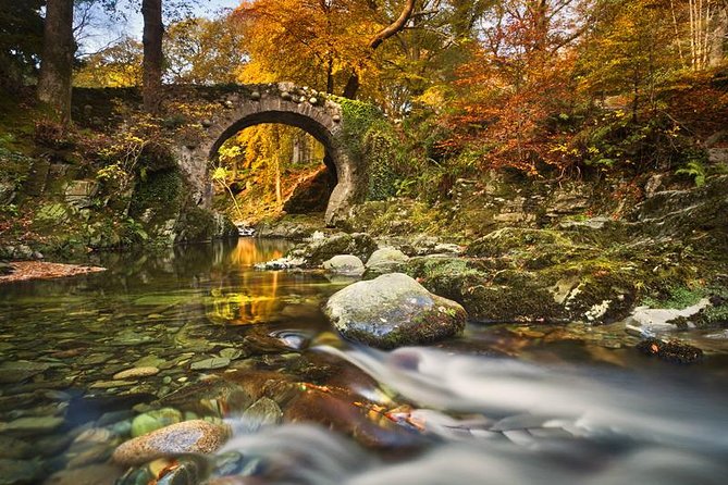 Game of Thrones - Tollymore Forest Trek - Small groups and the meeting point