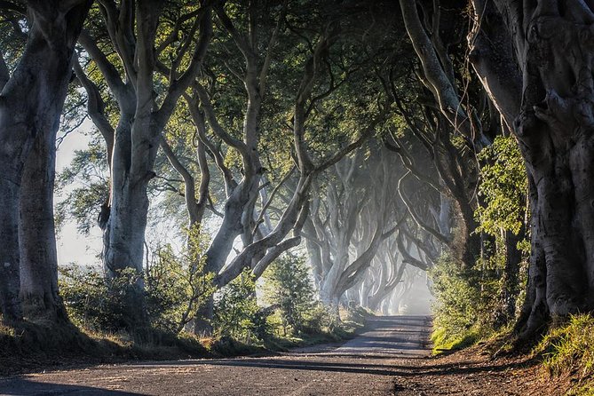 Giant's Causeway and more including Titanic Experience Ticket Tour from Belfast - Dark Hedges: a 20-minute film stop