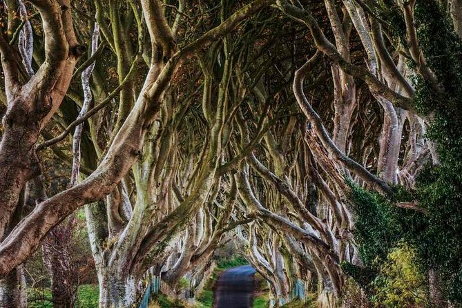 Giant's Causeway Full Day Tour from Belfast - Riding the Causeway Coast