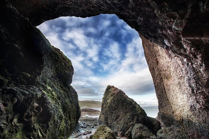 Giant's Causeway Tour from Belfast - Luxury Bus + Castles Tour - The Dark Hedges offers a quick film-location stop