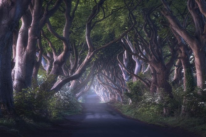 Giants Causeway & Game of Thrones Tour from Belfast - Ballintoy Harbour brings the Iron Islands to life