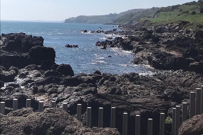 Giants Causeway ~ one stop tour - Why this quick Causeway trip works