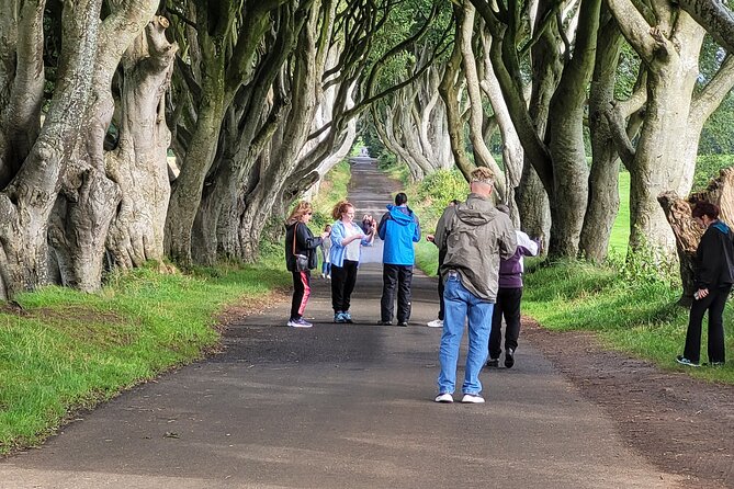Giants causeway private tour 1 to 7 people - The Dark Hedges and their film fame