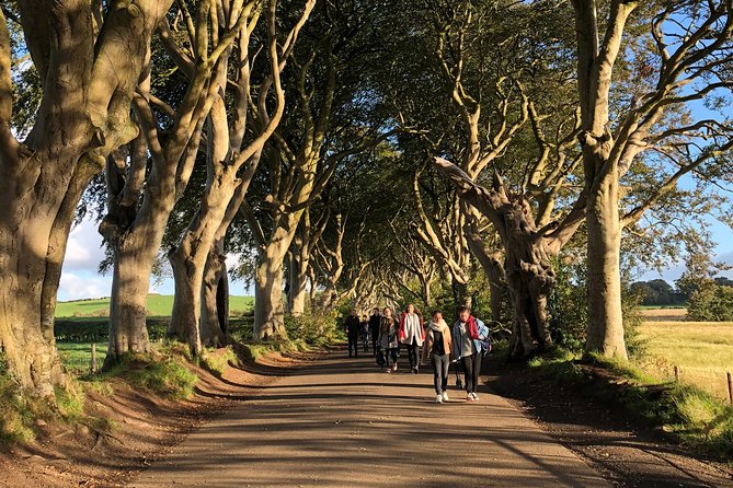 Giants Causeway, Rope Bridge, Carrickfergus Castle and Dark Hedges Tour - Dunluce Castle from the cliff road
