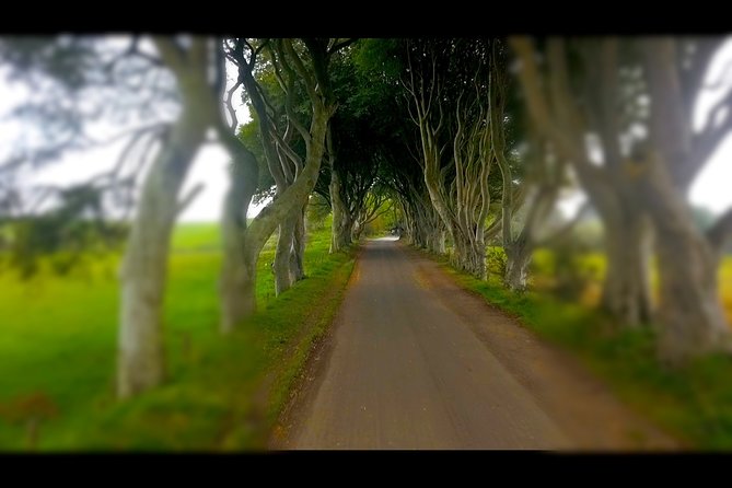 Guided Day Tour of Giant's Causeway from Belfast by Comfortable Coach - Price, Group Size, and Who Gets Good Value