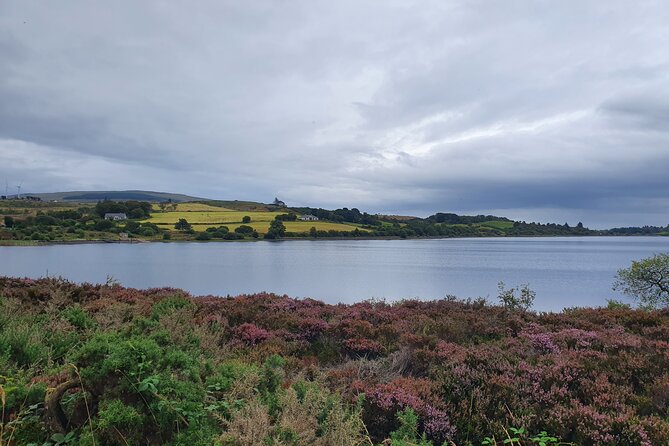 Ireland North Coast MEGA Trip for up to 8 Passengers - Bushmills Distillery and the Dark Hedges