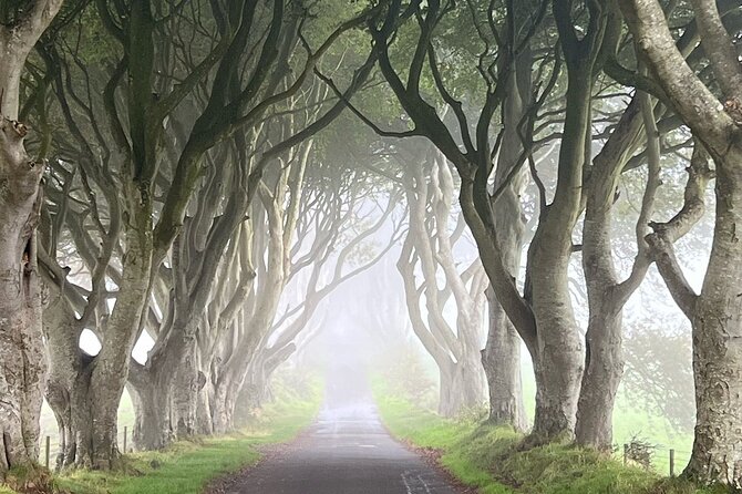 Private Coast Tour in Belfast - How the day feels in practice