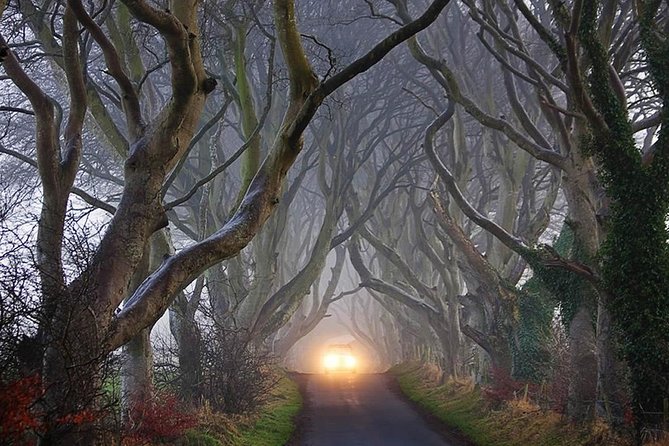 Private Game of Thrones including Giant's Causeway Causeway Coast Rope Bridge - Game of Thrones appeal without losing the real place