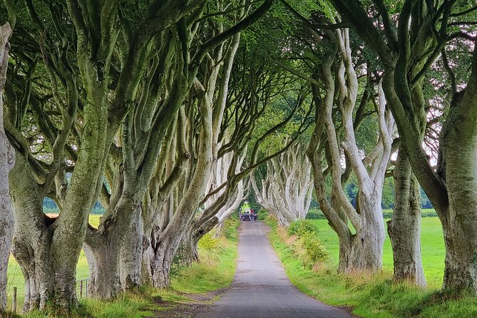 Private Giants Causeway Express Tour - Why this private Belfast day trip works