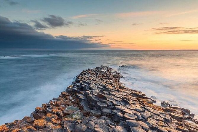 Private Tour Game of Thrones and Giants Causeway Antrim Coast - The Dark Hedges: beautiful, famous, and often busy