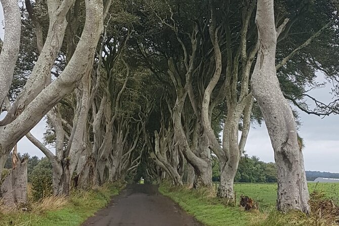 Private tour of the Antrim coast , Giants Causeway and Game of Throne locations - Why a private Antrim Coast tour makes sense