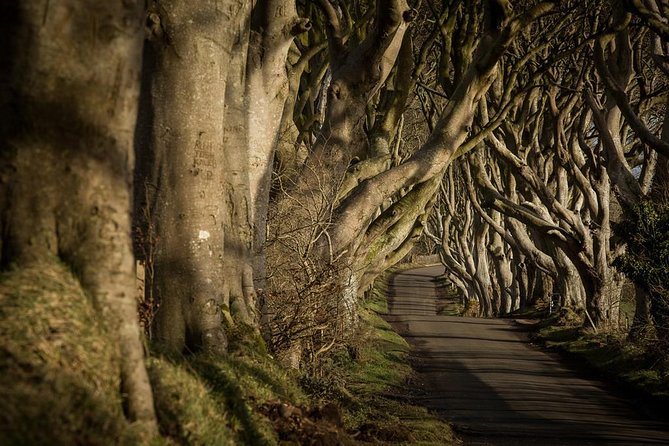 Titanic Experience and Giant's Causeway tour from Belfast - Giant’s Causeway: the day’s natural centerpiece